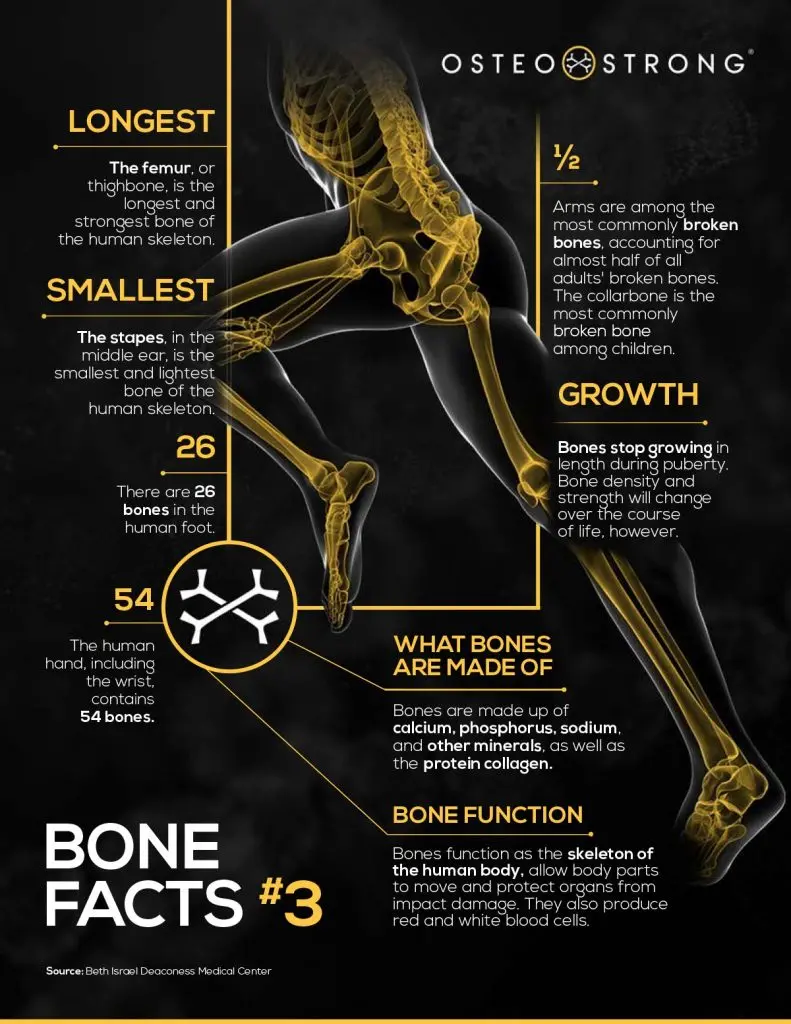 Bone Health